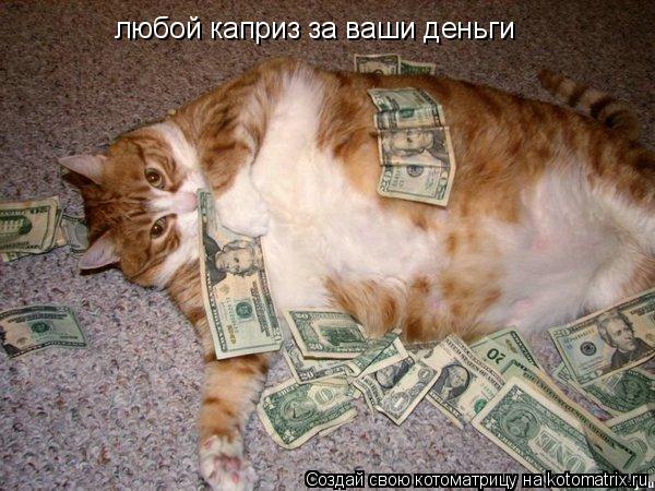 любой каприз за ваши деньги... Котоматрица: любой каприз за ваши деньги