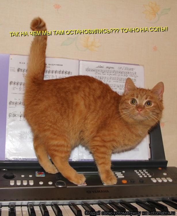 ТАК НА ЧЕМ МЫ ТАМ ОСТАНОВИЛИСЬ??? ТОЧНО НА СОЛЬ!!... Котоматрица: ТАК НА ЧЕМ МЫ ТАМ ОСТАНОВИЛИСЬ??? ТОЧНО НА СОЛЬ!!