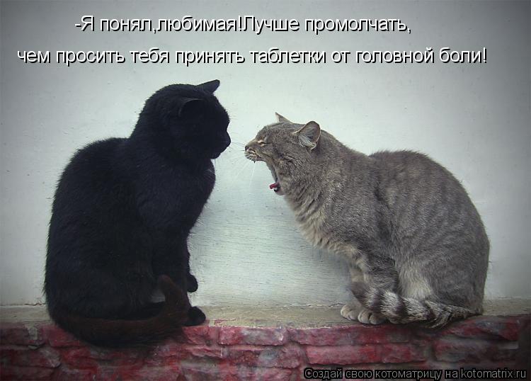 -Я понял,любимая!Лучше промолчать, чем просить тебя принять таблетки от головной боли!... Котоматрица: -Я понял,любимая!Лучше промолчать, чем просить тебя принять таблетки от головной боли!