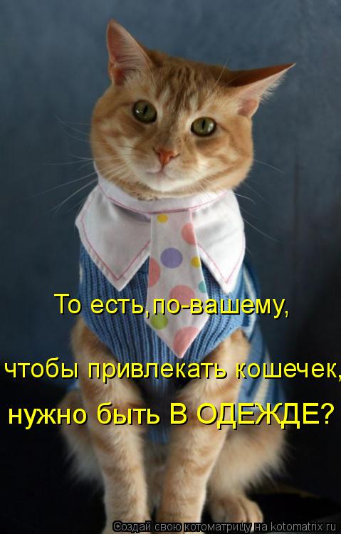 То есть,по-вашему, чтобы привлекать кошечек, нужно быть В ОДЕЖДЕ?... Котоматрица: То есть,по-вашему, чтобы привлекать кошечек, нужно быть В ОДЕЖДЕ?
