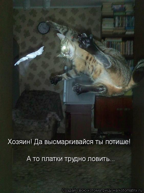 Хозяин! Да высмаркивайся ты потише! А то платки трудно ловить...... Котоматрица: Хозяин! Да высмаркивайся ты потише! А то платки трудно ловить...