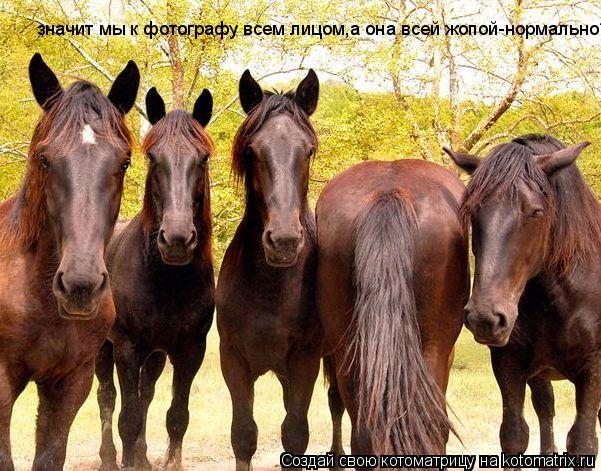 значит мы к фотографу всем лицом,а она всей жопой-нормально?... Котоматрица: значит мы к фотографу всем лицом,а она всей жопой-нормально?