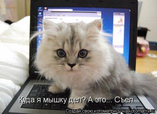 Куда я мышку дел? А это... Съел...... Котоматрица: Куда я мышку дел? А это... Съел...