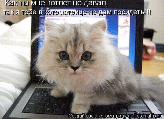 Как ты мне котлет не давал, так я тебе в котоматрице не дам посидеть!!!... Котоматрица: Как ты мне котлет не давал, так я тебе в котоматрице не дам посидеть!!!