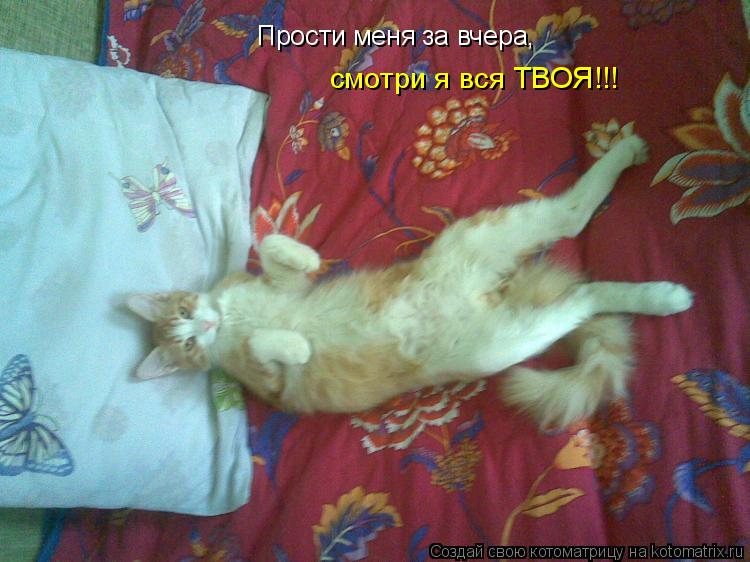 Прости меня за вчера, смотри я вся ТВОЯ!!!... Котоматрица: Прости меня за вчера, смотри я вся ТВОЯ!!!
