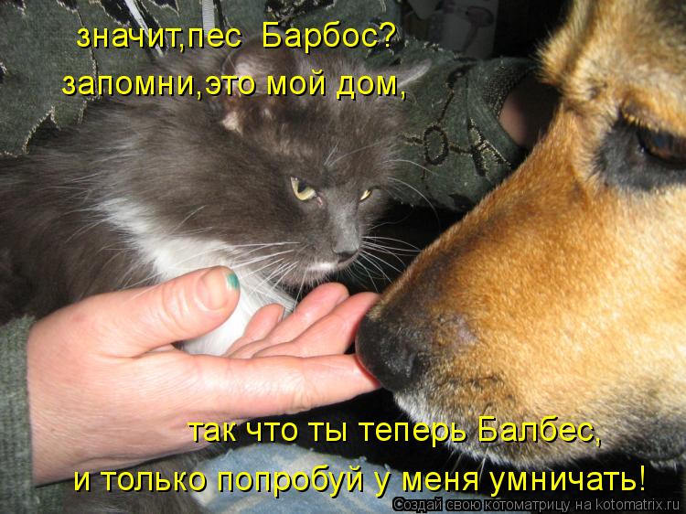 значит,пес Барбос? запомни,это мой дом, так что ты теперь Балбес, и только попробуй у меня умничать!... Котоматрица: значит,пес Барбос? запомни,это мой дом, так что ты теперь Балбес, и только попробуй у меня умничать!