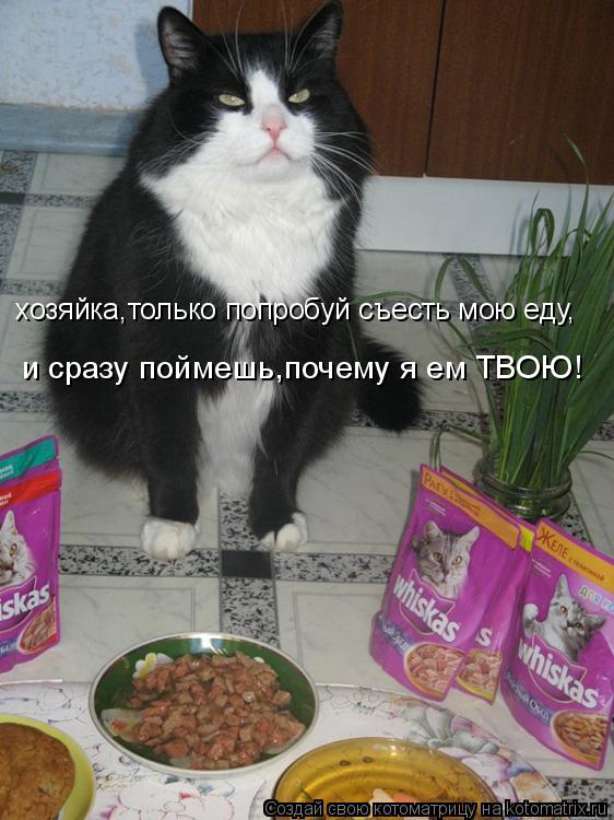 хозяйка,только попробуй съесть мою еду, и сразу поймешь,почему я ем ТВОЮ!... Котоматрица: хозяйка,только попробуй съесть мою еду, и сразу поймешь,почему я ем ТВОЮ!