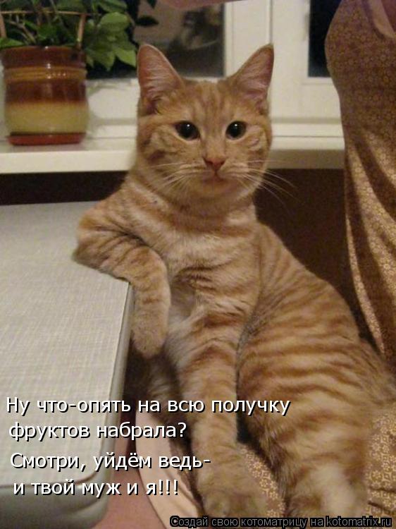 Ну что-опять на всю получку фруктов набрала? Смотри, уйдём ведь- и твой муж и я!!!... Котоматрица: Ну что-опять на всю получку фруктов набрала? Смотри, уйдём ведь- и твой муж и я!!!