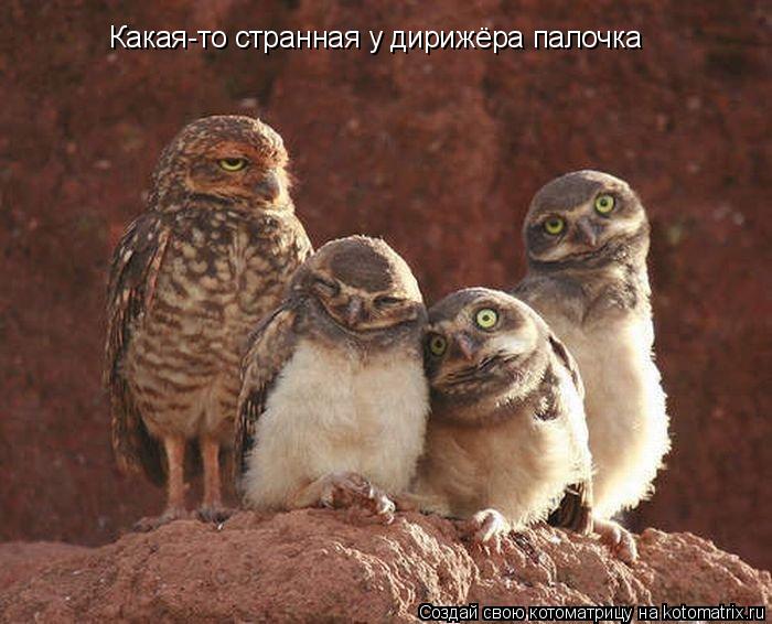 Какая-то странная у дирижёра палочка... Котоматрица: Какая-то странная у дирижёра палочка