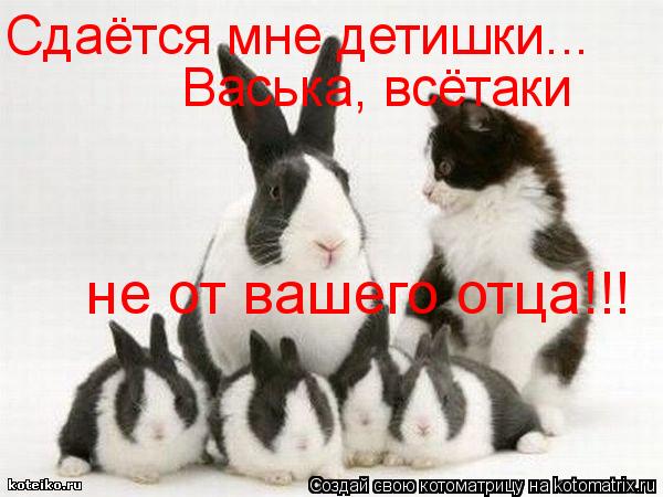 Сдаётся мне детишки... Васька, всётаки не от вашего отца!!!... Котоматрица: Сдаётся мне детишки... Васька, всётаки не от вашего отца!!!