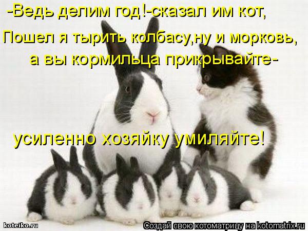а вы кормильца прикрывайте- Пошел я тырить колбасу,ну и морковь, -Ведь делим год!-сказал им кот, усил... Котоматрица: а вы кормильца прикрывайте- Пошел я тырить колбасу,ну и морковь, -Ведь делим год!-сказал им кот, усиленно хозяйку умиляйте!