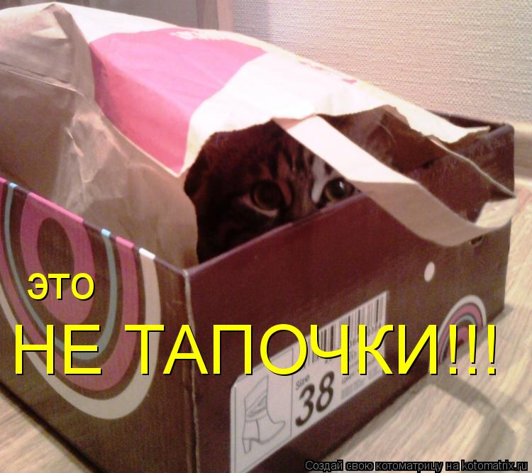 это НЕ ТАПОЧКИ!!!... Котоматрица: это НЕ ТАПОЧКИ!!!