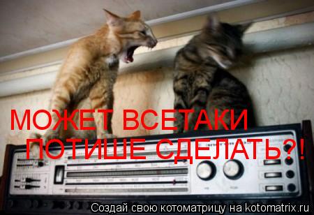 МОЖЕТ ВСЕТАКИ ПОТИШЕ СДЕЛАТЬ?!... Котоматрица: МОЖЕТ ВСЕТАКИ ПОТИШЕ СДЕЛАТЬ?!