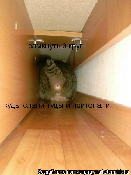замкнутый круг куды слали туды и притопали... Котоматрица: замкнутый круг куды слали туды и притопали