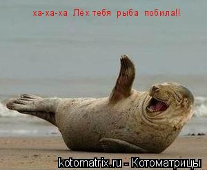 ха-ха-ха Лёх тебя рыба побила!!... Котоматрица: ха-ха-ха Лёх тебя рыба побила!!