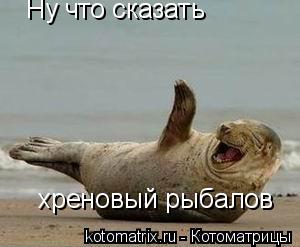 Ну что сказать хреновый рыбалов... Котоматрица: Ну что сказать хреновый рыбалов