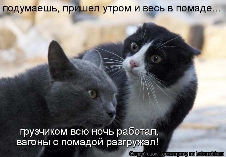 подумаешь, пришел утром и весь в помаде... грузчиком всю ночь работал, вагоны с помадой разгружал!... Котоматрица: подумаешь, пришел утром и весь в помаде... грузчиком всю ночь работал, вагоны с помадой разгружал!