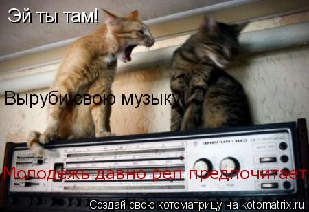 Эй ты там! Выруби свою музыку! Молодежь давно реп предпочитает!... Котоматрица: Эй ты там! Выруби свою музыку! Молодежь давно реп предпочитает!