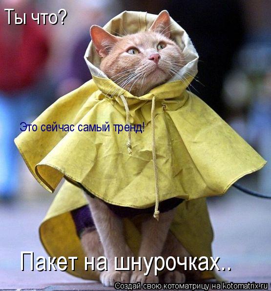 Ты что? Это сейчас самый тренд! Пакет на шнурочках..... Котоматрица: Ты что? Это сейчас самый тренд! Пакет на шнурочках..