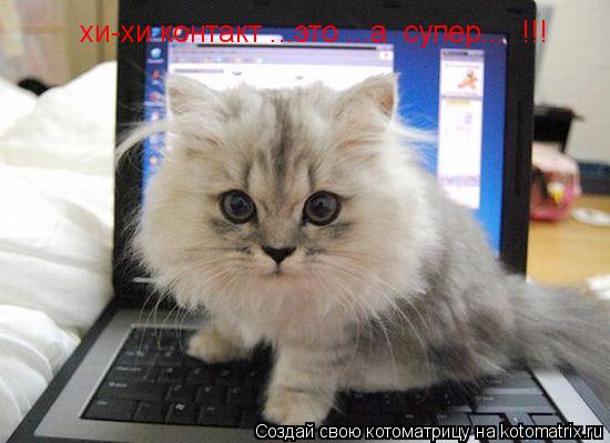 хи-хи контакт ...это ...а супер... !!!... Котоматрица: хи-хи контакт ...это ...а супер... !!!
