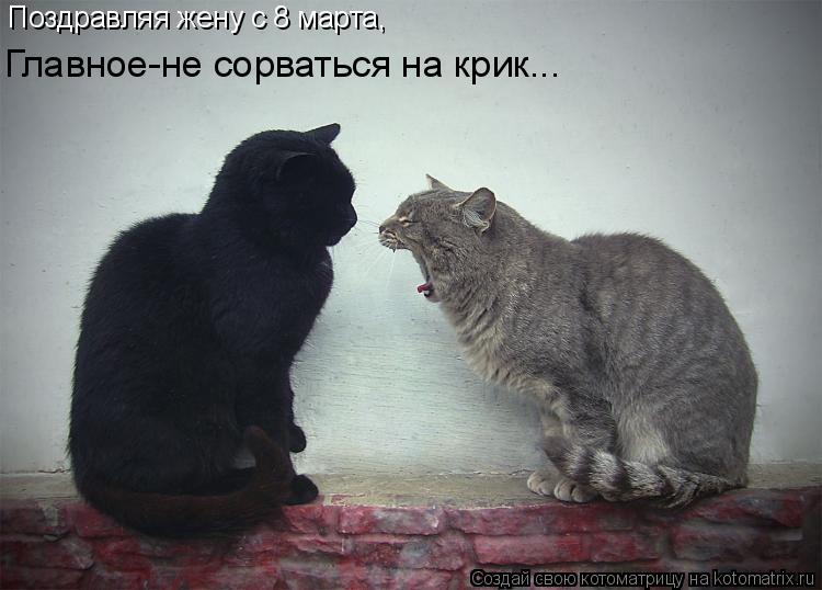 Поздравляя жену с 8 марта, Главное-не сорваться на крик...... Котоматрица: Поздравляя жену с 8 марта, Главное-не сорваться на крик...