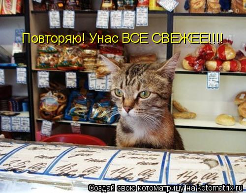 Повторяю! Унас ВСЕ СВЕЖЕЕ!!!!... Котоматрица: Повторяю! Унас ВСЕ СВЕЖЕЕ!!!!