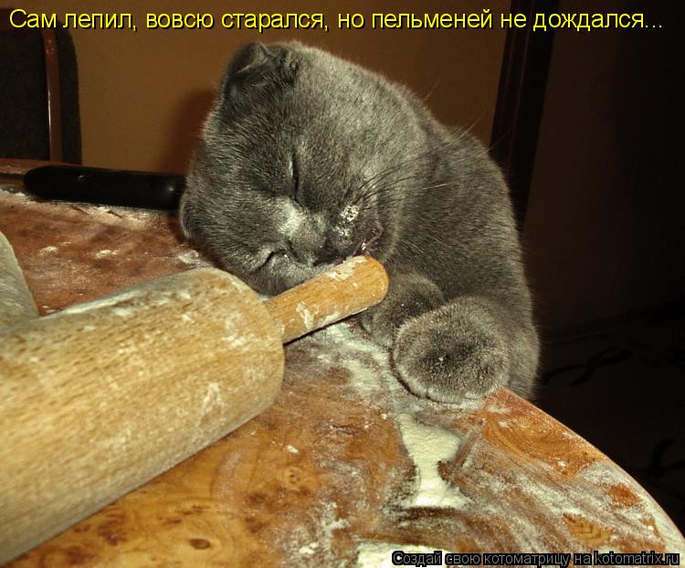 Сам лепил, вовсю старался, но пельменей не дождался...... Котоматрица: Сам лепил, вовсю старался, но пельменей не дождался...