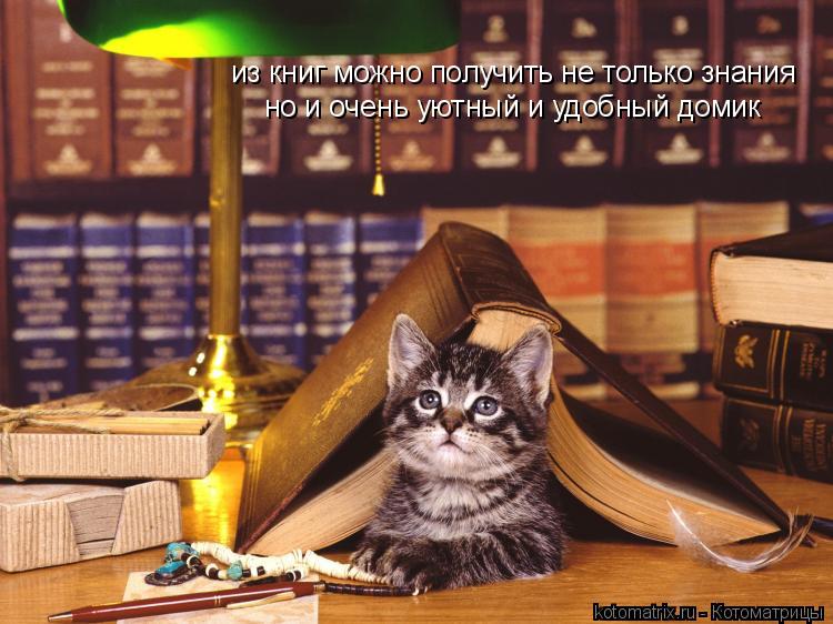 Котоматрица: из книг можно получить не только знания но и очень уютный и удобный домик