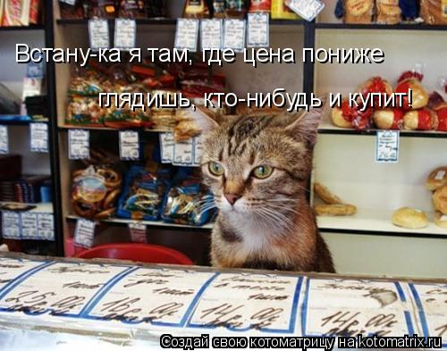 Встану-ка я там, где цена пониже глядишь, кто-нибудь и купит!... Котоматрица: Встану-ка я там, где цена пониже глядишь, кто-нибудь и купит!