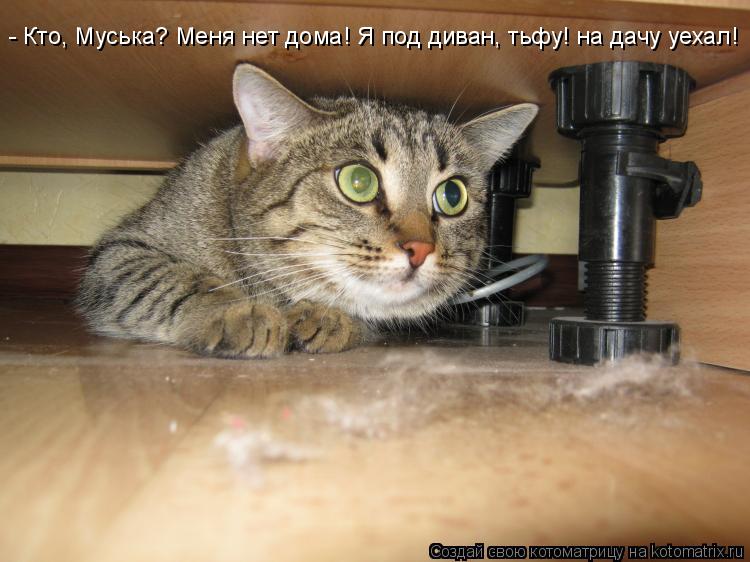 - Кто, Муська? Меня нет дома! Я под диван, тьфу! на дачу уехал!... Котоматрица: - Кто, Муська? Меня нет дома! Я под диван, тьфу! на дачу уехал!