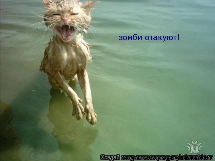 зомби отакуют!... Котоматрица: зомби отакуют!