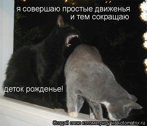 я совершаю простые движенья и тем сокращаю деток рожденье!... Котоматрица: я совершаю простые движенья и тем сокращаю деток рожденье!