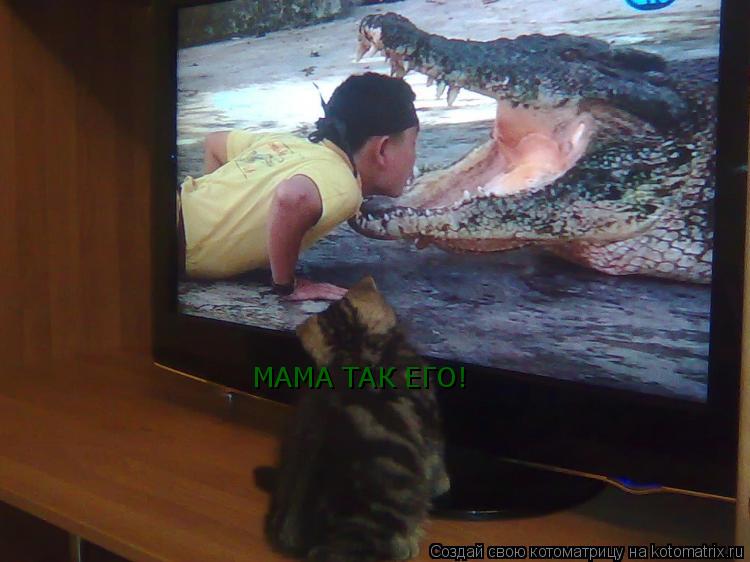 МАМА ТАК ЕГО!... Котоматрица: МАМА ТАК ЕГО!