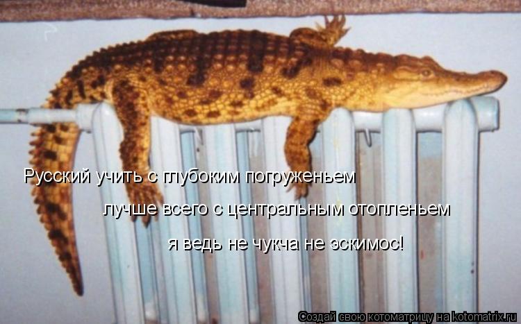 Русский учить с глубоким погруженьем лучше всего с центральным отопленьем я ведь не чукча не эскимос!... Котоматрица: Русский учить с глубоким погруженьем лучше всего с центральным отопленьем я ведь не чукча не эскимос!