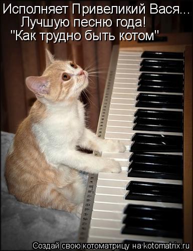 Котоматрица: Исполняет Привеликий Вася... Лучшую песню года! "Как трудно быть котом"
