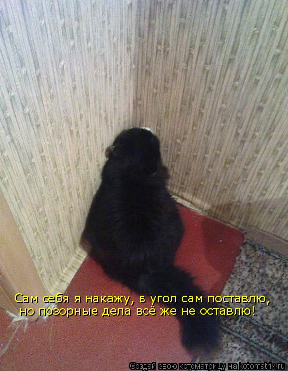 Котоматрица: Сам себя я накажу, в угол сам поставлю, но позорные дела всё же не оставлю!