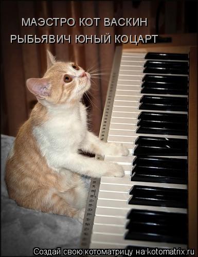 Котоматрица: МАЭСТРО КОТ ВАСКИН   РЫБЬЯВИЧ ЮНЫЙ КОЦАРТ