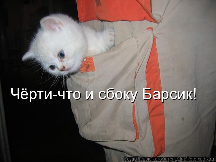 Котоматрица: Чёрти-что и сбоку Барсик!
