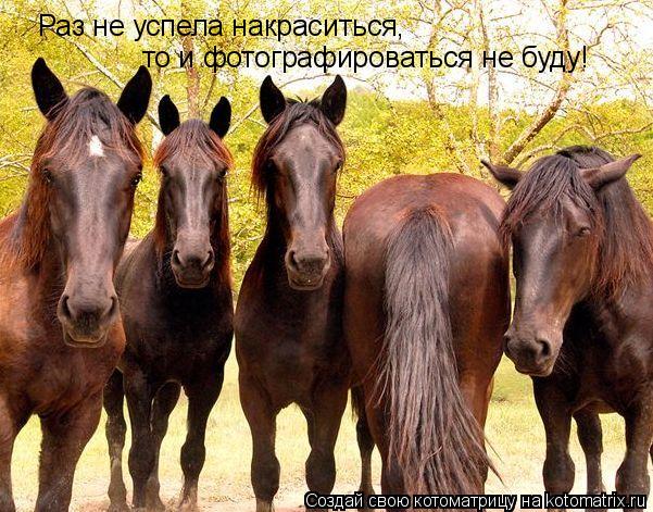 Котоматрица: Раз не успела накраситься,  то и фотографироваться не буду!