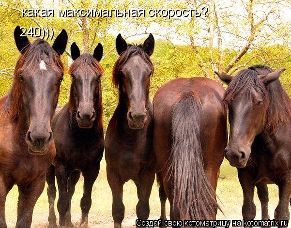 какая максимальная скорость? 240)))... Котоматрица: какая максимальная скорость? 240)))