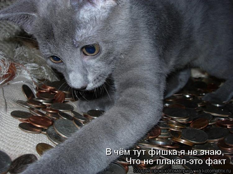 В чём тут фишка,я не знаю, Что не плакал-это факт... Котоматрица: В чём тут фишка,я не знаю, Что не плакал-это факт