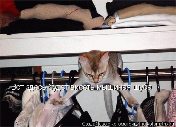 Котоматрица: Вот здесь будет висеть мышиная шуба...