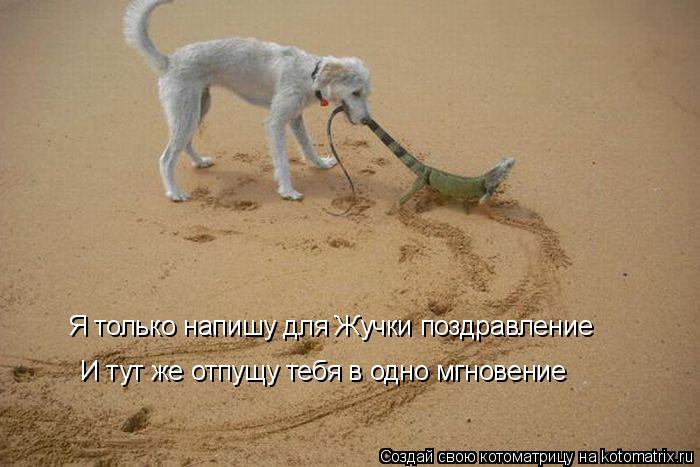 Я только напишу для Жучки поздравление И тут же отпущу тебя в одно мгновение... Котоматрица: Я только напишу для Жучки поздравление И тут же отпущу тебя в одно мгновение