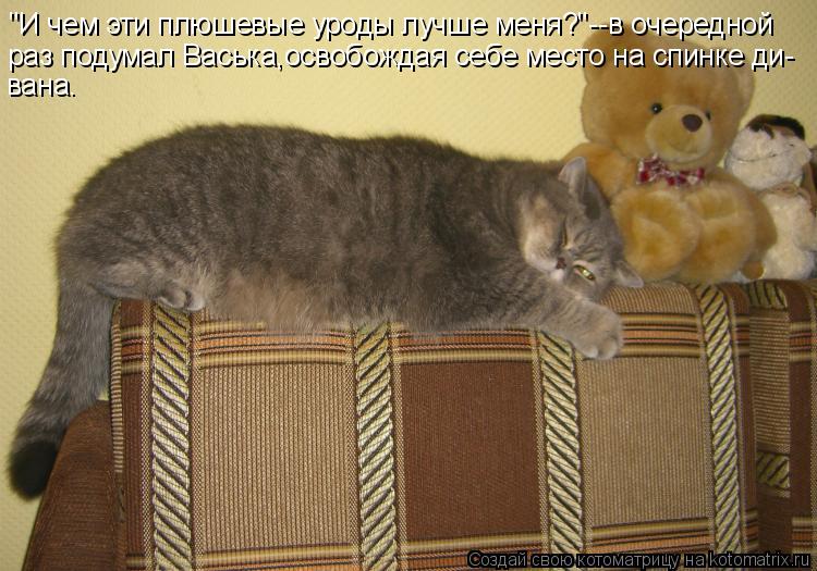 "И чем эти плюшевые уроды лучше меня?"--в очередной раз подумал Васька,освобождая себе место на спинк... Котоматрица: "И чем эти плюшевые уроды лучше меня?"--в очередной раз подумал Васька,освобождая себе место на спинке ди- вана.