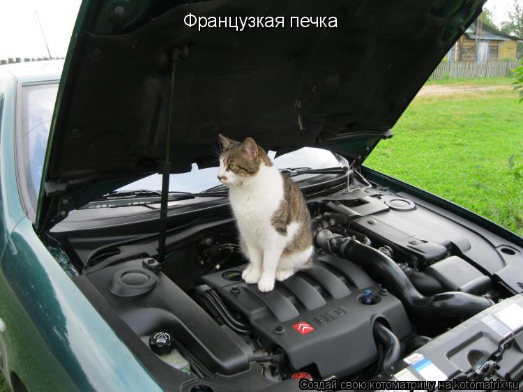 Французкая печка... Котоматрица: Французкая печка