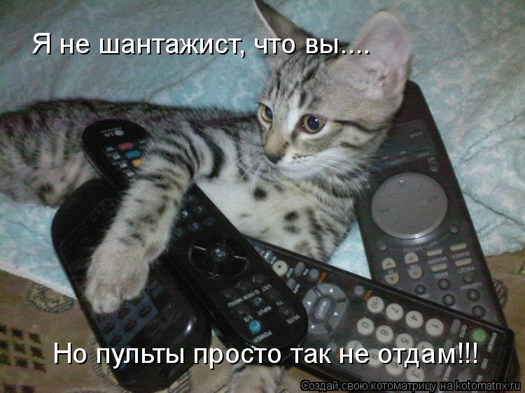 Котоматрица: Я не шантажист, что вы.... Но пульты просто так не отдам!!!