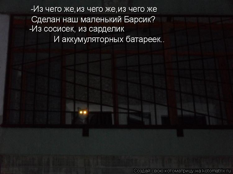 Котоматрица: -Из чего же,из чего же,из чего же Сделан наш маленький Барсик? -Из сосисек, из сарделик И аккумуляторных батареек..