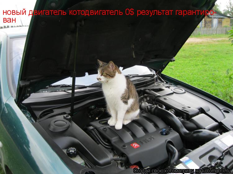 новый двигатель котодвигатель 0$ результат гарантиро- ван... Котоматрица: новый двигатель котодвигатель 0$ результат гарантиро- ван