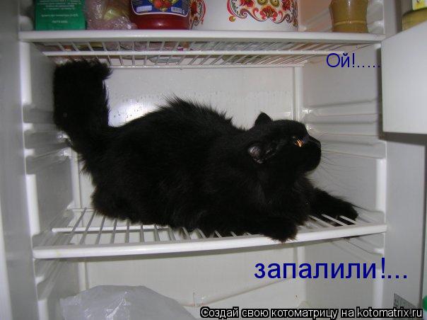 Котоматрица: Ой!..... запалили!...