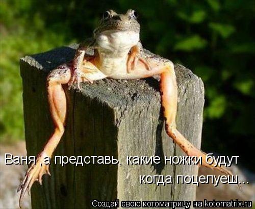 Ваня ,а представь, какие ножки будут когда поцелуеш...... Котоматрица: Ваня ,а представь, какие ножки будут когда поцелуеш...